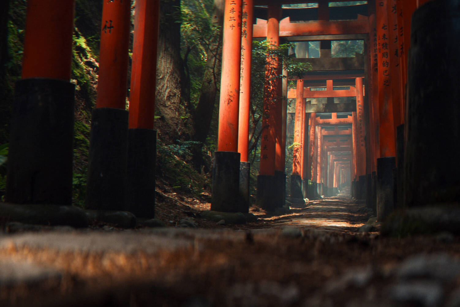 Filmy Reklamowe Torii Scena